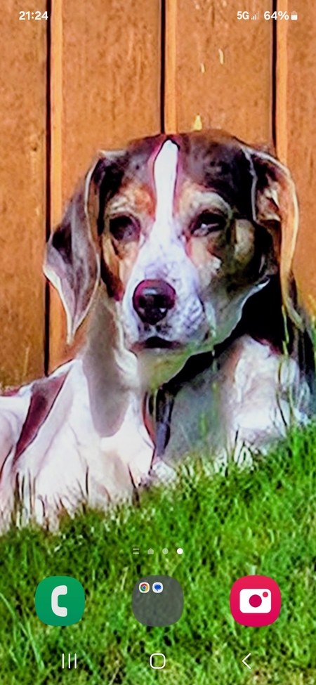 Entry image for Ruby . Clicking this image will show a larger photo