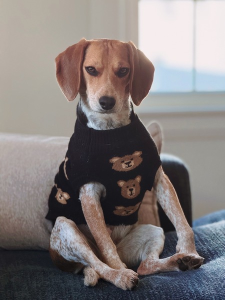 Entry image for Betty. Clicking this image will show a larger photo