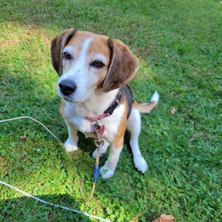 Entry image for Reba. Clicking this image will show a larger photo