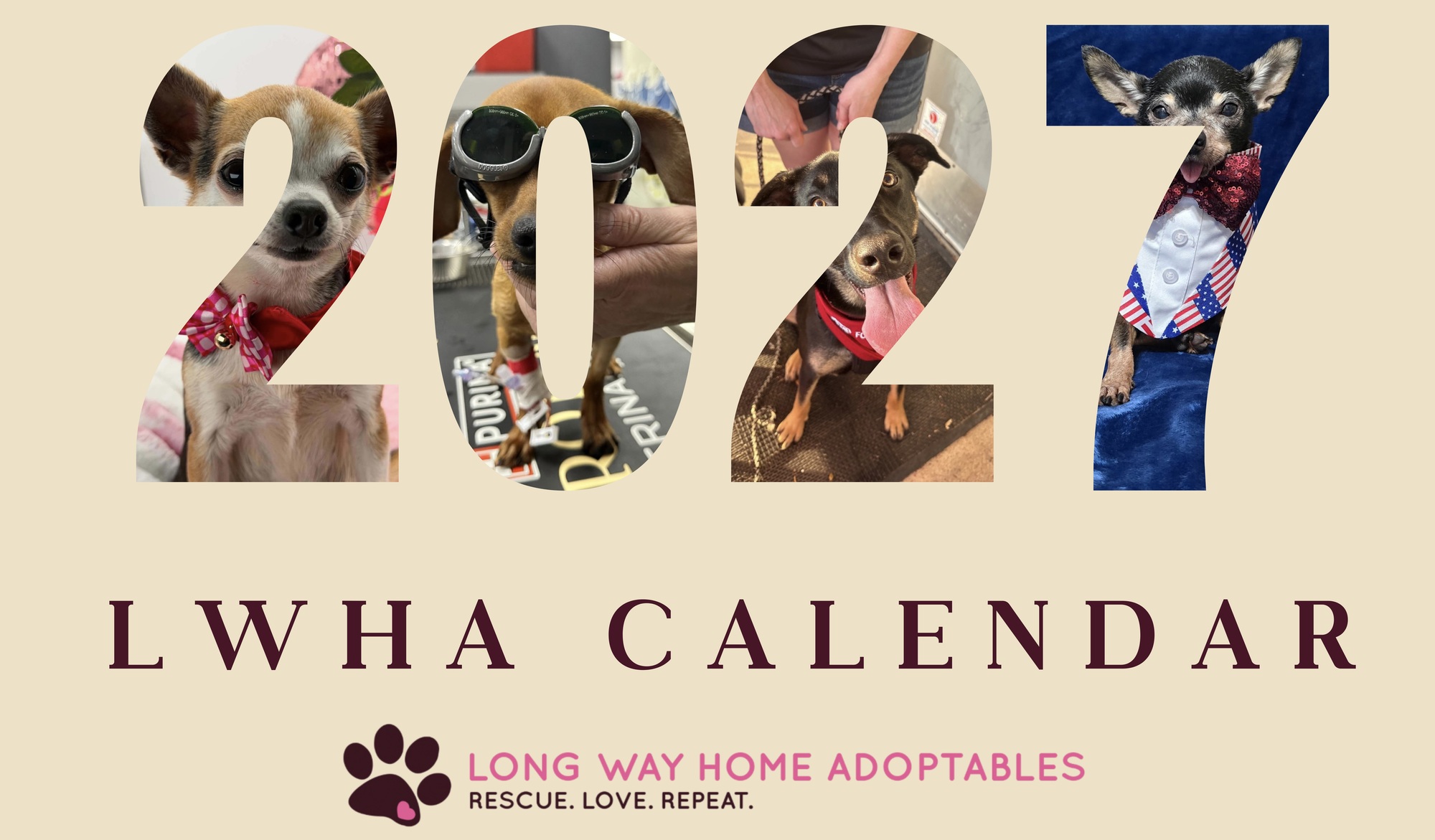 Banner for Long Way Home Adoptables 2027 Calendar
