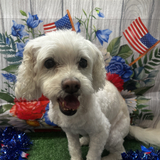Entry image for Winnie 