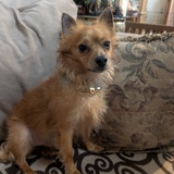 Entry image for Toto