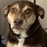 Entry image for Cassie
