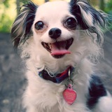 Entry image for Mushi