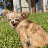 Entry image for Minka