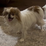 Entry image for Lulu