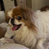 Entry image for Lulu
