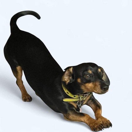 Entry image for Lukas. Clicking this image will show a larger photo