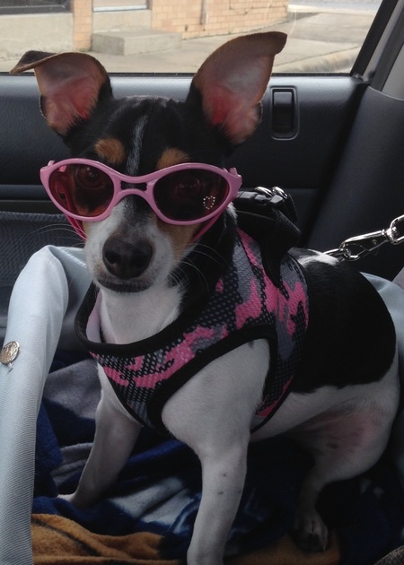 Entry image for Kalli. Clicking this image will show a larger photo