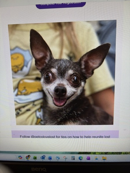 Entry image for Bridgette. Clicking this image will show a larger photo
