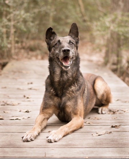 Entry image for Kohn. Clicking this image will show a larger photo