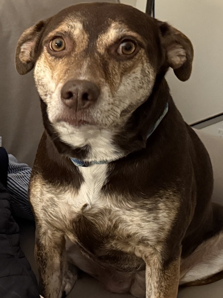 Entry image for Cassie. Clicking this image will show a larger photo
