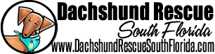 Logo for 2027 Dachshund Rescue South Florida Calendar Contest