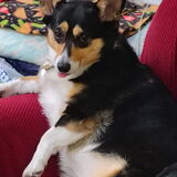 Entry image for Bagel