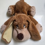 Entry image for Sammy the Spaniel