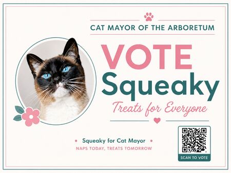 Entry image for Squeaky. Clicking this image will show a larger photo