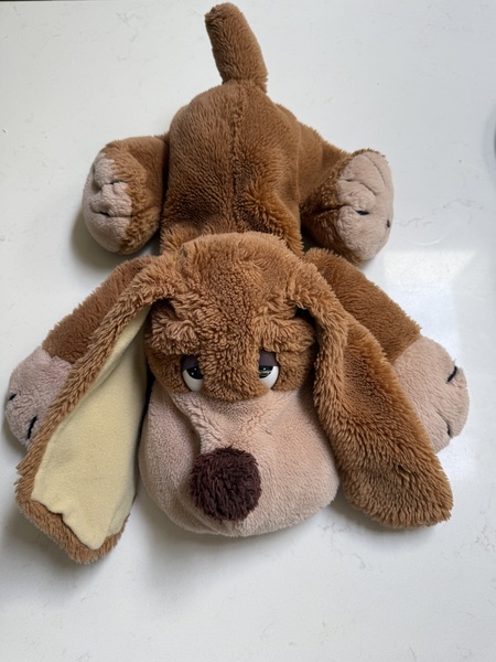 Entry image for Sammy the Spaniel. Clicking this image will show a larger photo