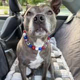 Entry image for Pepper