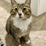 Entry image for Mabel