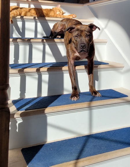 Entry image for Arlo. Clicking this image will show a larger photo