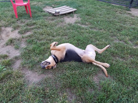 Jethro