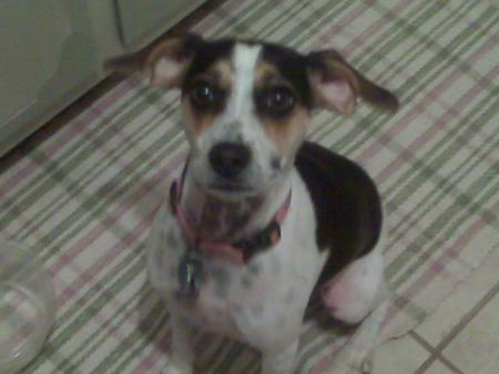 Dyna
