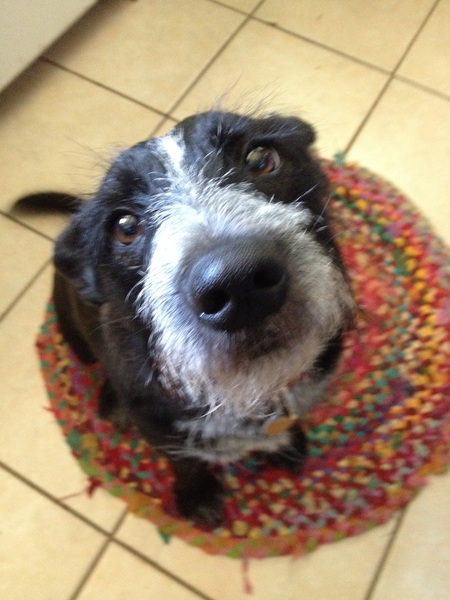 Greyson
