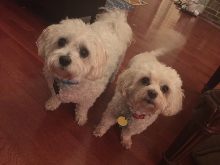 Frosty & Zoey 