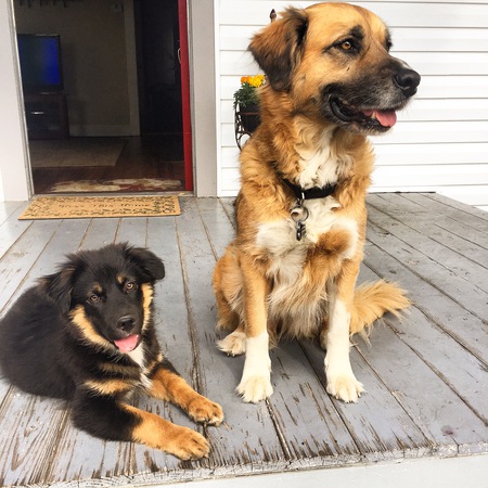 Asher & Kolbi
