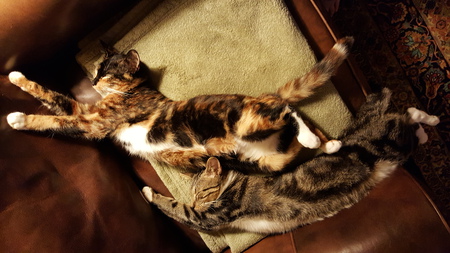 Sophie and Duncan:  Best Friends FORever