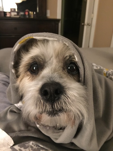 Tucker
