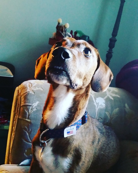 Fergus