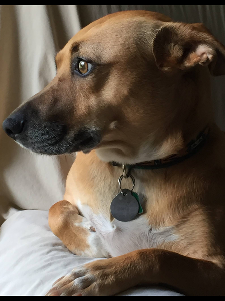Maya( formerly known as Layla)