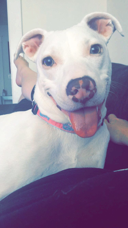 Marley