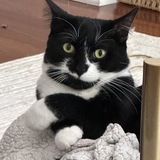 Entry image for Benny 