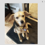 Entry image for Sadie Grace