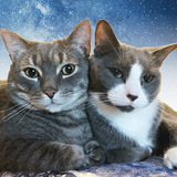 Entry image for Maxx & Eli