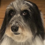 Entry image for Phoebe Marie