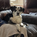 Entry image for Ernie