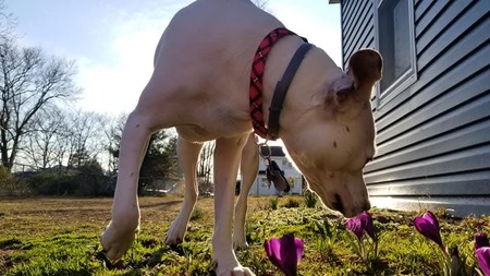 Entry image for Mia . Clicking this image will show a larger photo