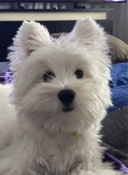 Entry image for Lexi. Clicking this image will show a larger photo