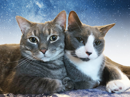 Entry image for Maxx & Eli. Clicking this image will show a larger photo