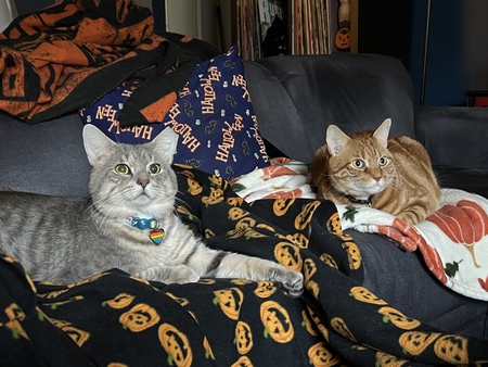 Entry image for Allen and Neal. Clicking this image will show a larger photo