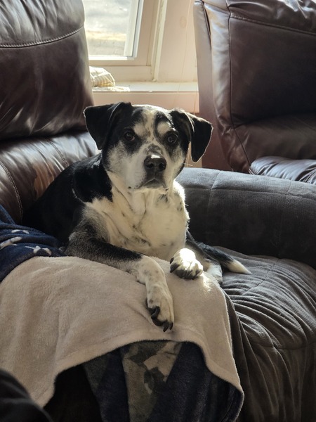 Entry image for Ernie. Clicking this image will show a larger photo