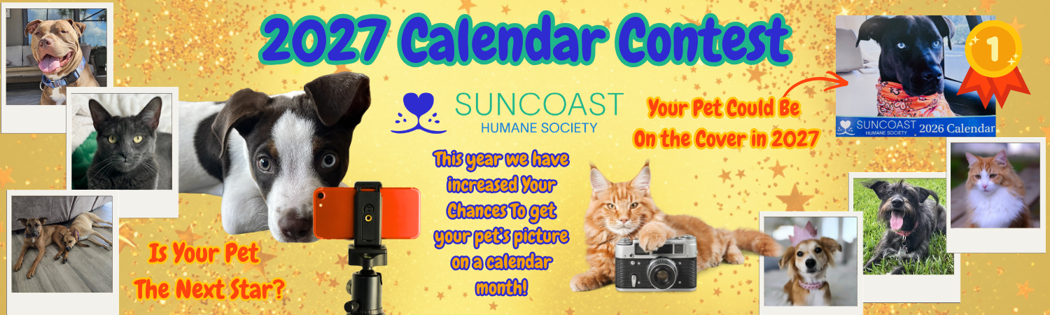 Banner for Suncoast Humane Society 2027 Calendar