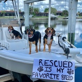 Entry image for Bennie, Sonnie, & Teddy
