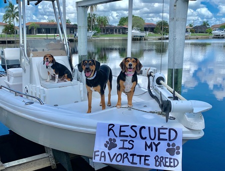 Entry image for Bennie, Sonnie, & Teddy. Clicking this image will show a larger photo
