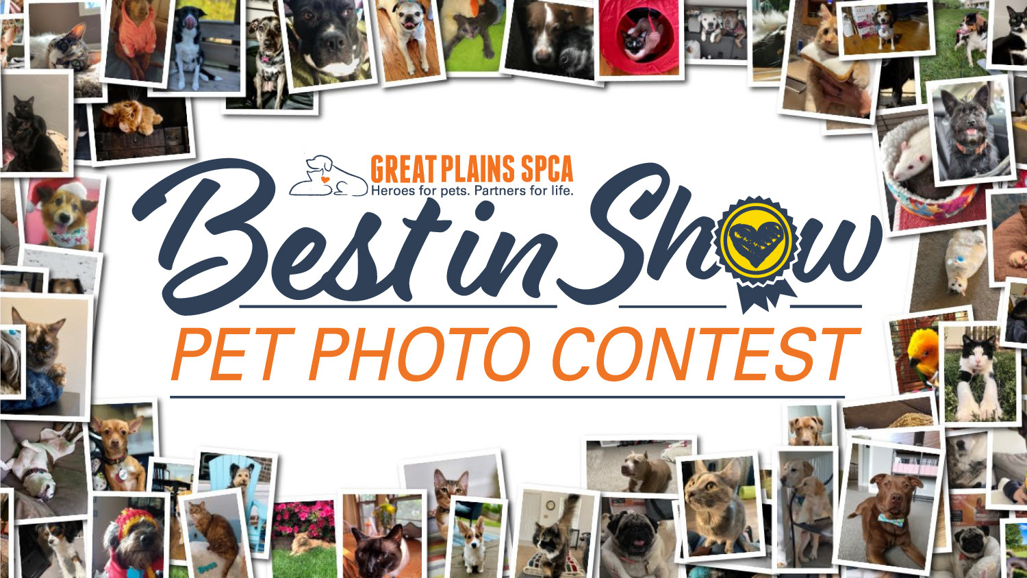 Banner for Great Plains SPCA Best in Show Pet Contest 2026