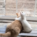 Entry image for Max and Jackie