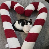 Entry image for Jack Jack